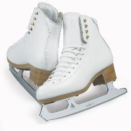 MSU Figure Skating Club is a Class III Organization under the SGA. Our club will teach students to skate, we will also prepare them for competition if they want