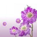 خالد الغامدي (@0565512308) Twitter