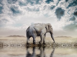 howardcarter04's profile picture. 