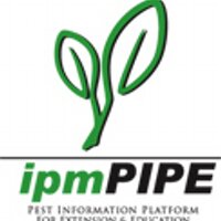 ipmPIPE (@ipmpipe) 's Twitter Profile