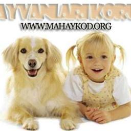 Madohayko's profile picture. Malatya Doğa ve Hayvanları Koruma Derneği