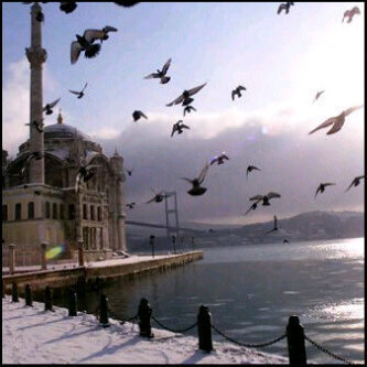 Mahmmdabc's profile picture. 