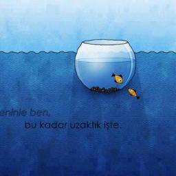 10 MAYIS 1991