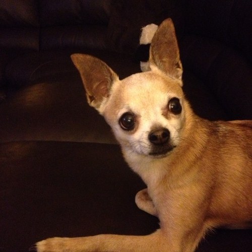 jbestercy's profile picture. 