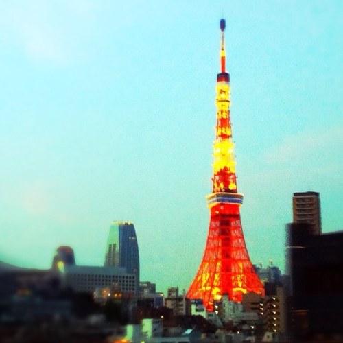 26 years old, japan. interesting in traveling, medicine.