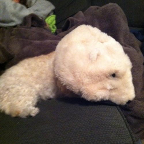 kelcmitch's profile picture. 