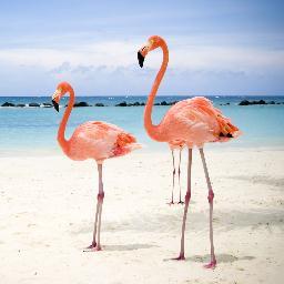 Leah4Liberty's profile picture. Married to my best friend. Mother to 4 free spirits. Lover of books, philosophy, the outdoors, and freedom. Hobbies: dirty martinis, chess, and arguing w/ Libs.