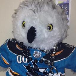 LordStanleyOwl's profile picture. 