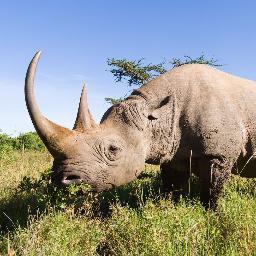 JENNYCO21580256's profile picture. 