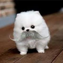 ChelseyHartley3's profile picture. I am a Funny,Pretty,Smart,Nice,ect...,LOVE NEON COLOR'S AND ONE DIRECTION!!!(:.If u follow me i will follow u back! peace out ppl!!!!!!!:)