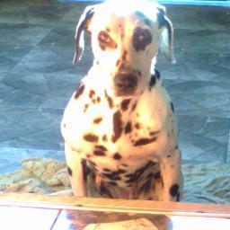 miguel19742009's profile picture. 