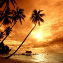 manuel tang - @manueltang - Twitter