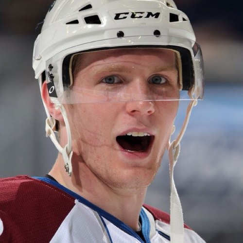 Gabriel Landeskog (notlandy92) Twitter