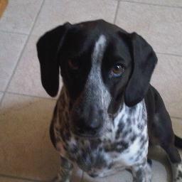 RicksterThe's profile picture. Go Vols