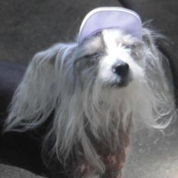 KellyG70's profile picture. 