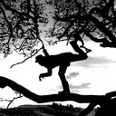 antonio snow - @antonio120685 - Twitter