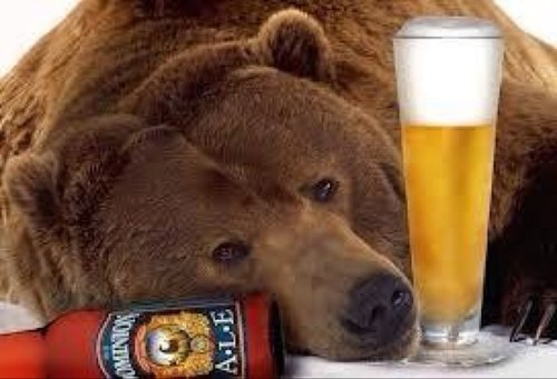 SSUPartyBear's profile picture. Parental Advisory Necessary: Just an ordinary college student partying at an ordinary college. #BlackoutOrBackout