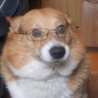 bing (@bingespresso) 's Twitter Profile Photo bing (@bingespresso) 's Twitter Profile Photo