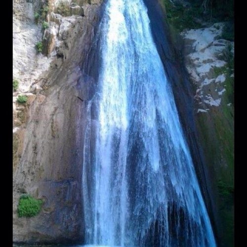 LopezEvelio's profile picture. 