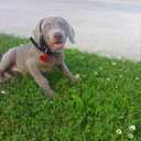 Bruce Rhoads - @rhoadz46 - Twitter