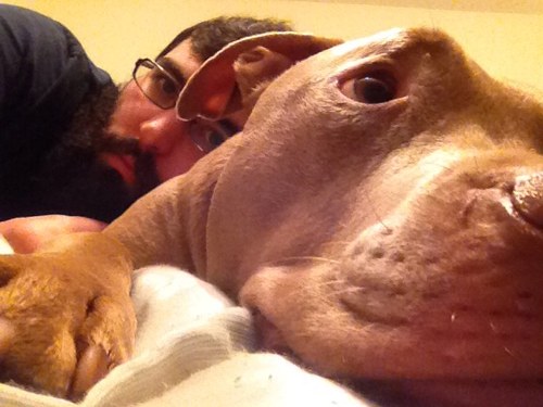 easterrain's profile picture. 