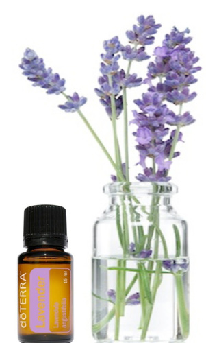 doTERRAbi's profile picture. I'm a mother sharing my passion for the benefits of essential oils. And if my kids could type they'd be tweeting along with me. They love essentials oils!