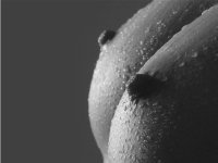 v_hunt's profile picture. 