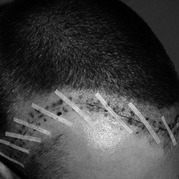 sebchiang's profile picture. A husband of a lovely wife. A father of a cute son. A boss of a corporate with over 10K employees.