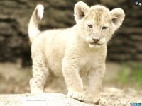 mr_dan777's profile picture. 