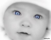 Взаимный фолловинг, RuFollowBack