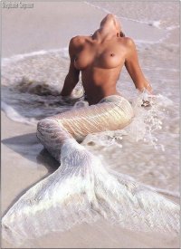 Взаимный фолловинг, RuFollowBack