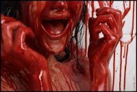 Взаимный фолловинг, RuFollowBack
