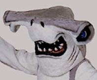 Ocean Ridge Cricket Club's mascot.

#goridgesharkies