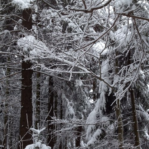 CollinNadine's profile picture. 