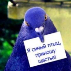 Слово не воробей. Вообще, ничто не воробей, кроме воробья.