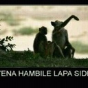 Jason Gruber - @0773949483 - Twitter