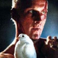 pepinhosbrown1's profile picture. Enfermero, si puedo te saco una sonrisa en tu proceso de curación. Comics, libros, cine y series, las religiones fuera de cualquier ecuación en la que esté.