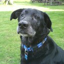 Ian Fielding - @Fydle10 - Twitter