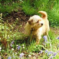 Judy Peace (@judy_peace) 's Twitter Profile Photo Judy Peace (@judy_peace) 's Twitter Profile Photo