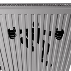 CHFlush's profile picture. 