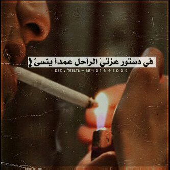 some one like twiter qoitely follow me i follow you(crezy boy)