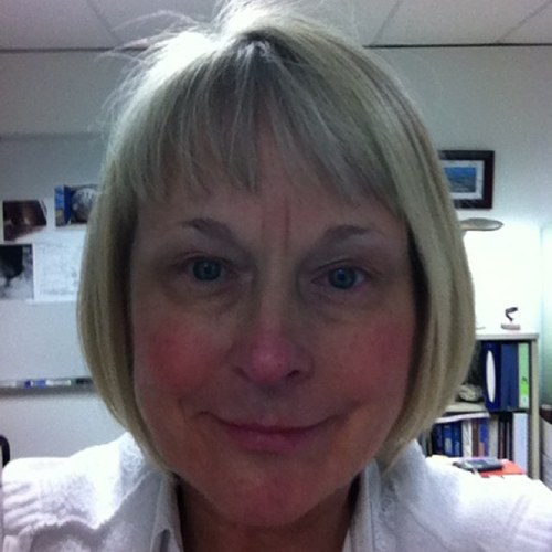 Intrstllr_Wave's profile picture. Architect in the USA. Love Cardinal Baseball⚾ ...Republican/Libertarian