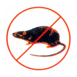 ProcomServices_'s profile picture. For your pest problems we Procom Services Inc are here to help you out. Call us now: (407) 402-5509!