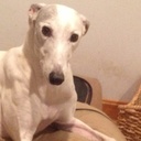 michael farman - @mikefarman4 - Twitter