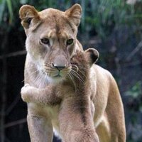 Karen austin (@karenaustin23) 's Twitter Profile