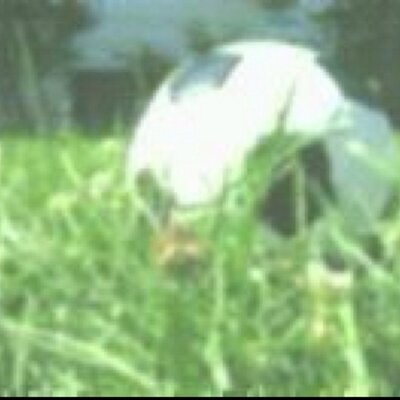 サッカー部 マネージャーあるある Managerfights Twitter サッカー部 マネージャーあるある Managerfights Twitter