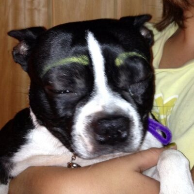 Profile Picture of Michelle Gannon (@fruitcrackers) on Twitter
