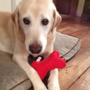 Greta cox - @1whitehorseGm - Twitter