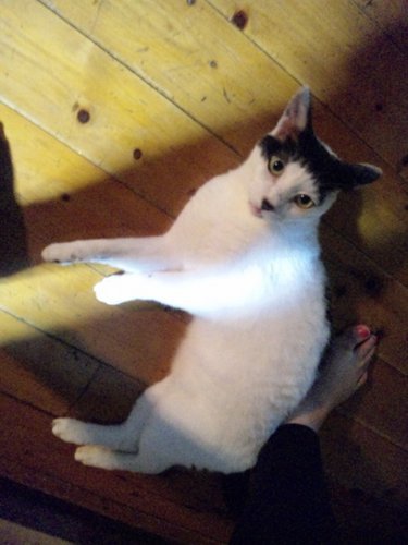 気がついたらアラフォーになっていた。 舐めまわしたいくらい可愛い溺愛中の息子１人。 最近はリツイートばかり。からの8年ぶりに赤さん爆誕。息子２人になりました♡