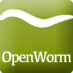 OpenWorm (@openworm) Twitter profile photo OpenWorm (@openworm) Twitter profile photo
